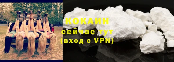 кокс Богородицк