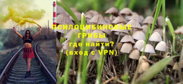 кокс Богородицк